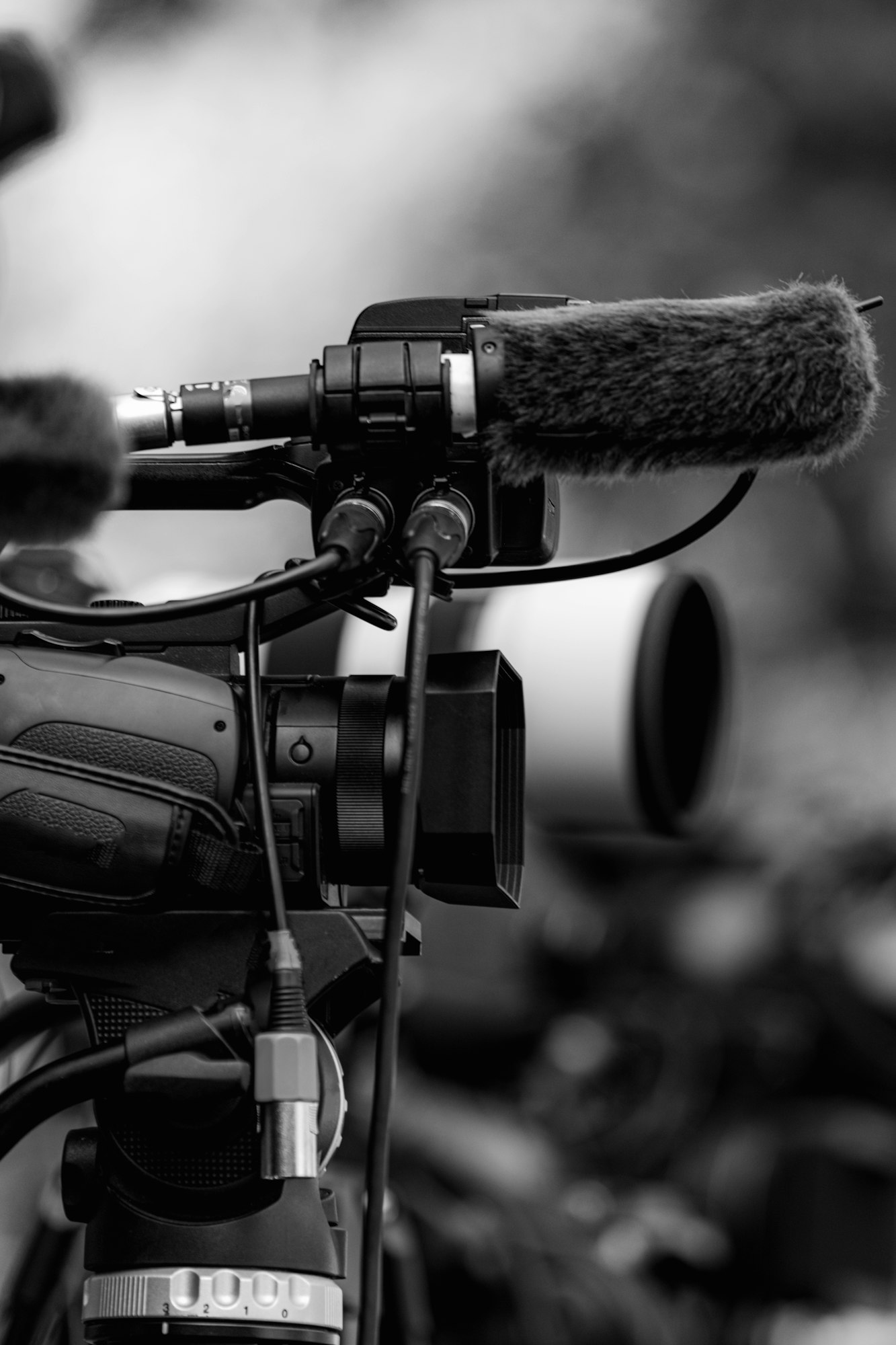 Group of Cameras at an Outdoor Event